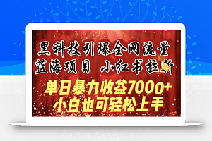 蓝海项目!黑科技引爆全网流量小红书拉新,单日暴力收益7000+,小白也能轻松上手