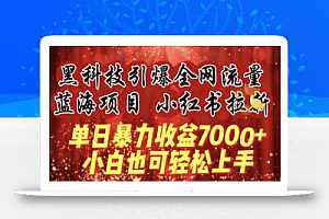 蓝海项目!黑科技引爆全网流量小红书拉新，单日暴力收益7000+，小白也能轻松上手