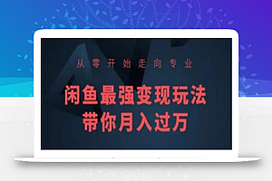 从零开始走向专业,闲鱼最强变现玩法带你月入过万