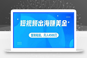 短视频出海赚美金，复制粘贴批量操作，小白轻松掌握，月入4500美刀