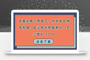 掌握这两个野路子,特效结合神奇布偶,能让粉丝数量飙升,至少增长 5000
