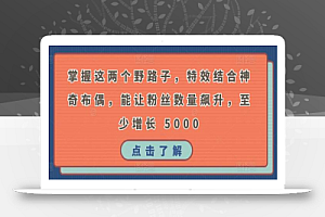 掌握这两个野路子，特效结合神奇布偶，能让粉丝数量飙升，至少增长 5000