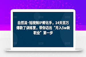 自然流·短视频IP孵化手,14天百万爆款了训练营,带你迈出“月入5w新职业”第一步
