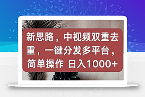 新思路,中视频双重去重,一键分发多平台,简单操作,日入1000+
