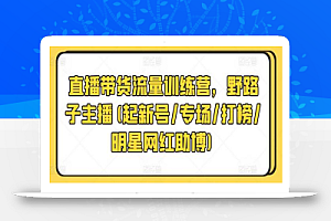 直播带货流量训练营,野路子主播(起新号/专场/打榜/明星网红助博)