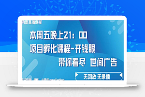 4.26日内部回放课程《项目孵化-开钱眼》赚钱的底层逻辑