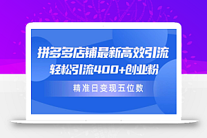 拼多多店铺最新高效引流术,轻松引流400+创业粉,精准日变现五位数!