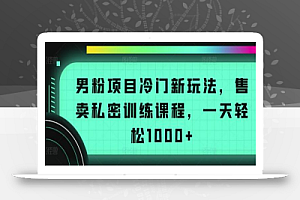 男粉项目冷门新玩法,售卖私密训练课程,一天轻松1000+
