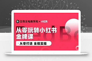 王导主·小红书电商运营实操课,从零打造 全程实操