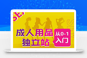 成人用品独立站从0-1入门,成品独立站运营全流程教学,七大好卖成品独立站推荐