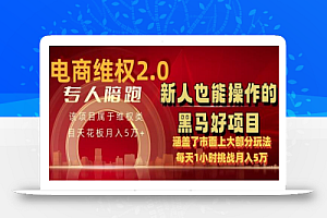 电商维Q4.0 如何做到月入 5 万+每天 1 小时新人也能快速上手