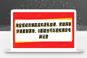淘宝低成本爆款流实战私教课,帮助商家快速复制落地,0基础也可以轻松搞定电商运营