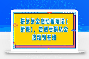 拼多多全店动销玩法【新课】,告别亏损从全店动销开始