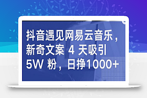抖音遇见网易云音乐,新奇文案 4 天吸引 5W 粉,日挣1000+