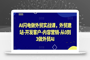 AI闪电做外贸实战课,外贸建站-开发客户-内容营销-从0到3做外贸AI
