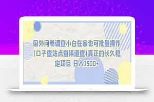 国外问卷调查小白在家也可批量操作(口子查站点查渠道查)真正的长久稳定项目 日入1500+