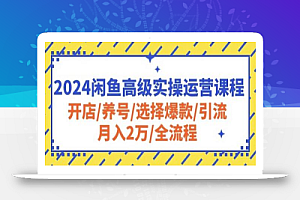 2024闲鱼高级实操运营课程:开店/养号/选择爆款/引流/月入2万/全流程