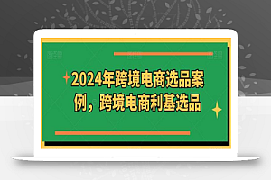 2024年跨境电商选品案例,跨境电商利基选品
