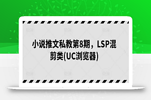 小说推文私教第8期,LSP混剪类(UC浏览器)