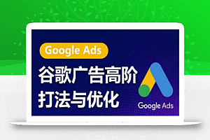 谷歌广告高阶打法与优化,凝结行业精华的谷歌广告体系课程,带你抓住流量红利,最大化ROI