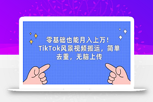 零基础也能月入上w,TikTok风景视频搬运,简单去重,无脑上传