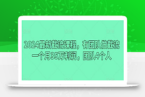 2024最新截流课程，有团队做截流一个月35万利润，团队4个人