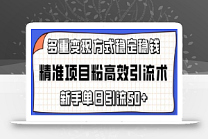 精准项目粉高效引流术,新手单日引流50+,多重变现方式稳定赚钱