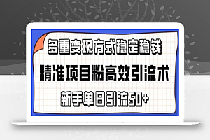 精准项目粉高效引流术，新手单日引流50+，多重变现方式稳定赚钱