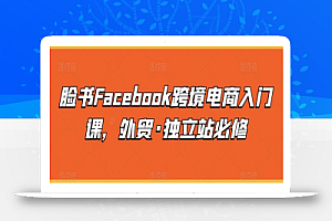 脸书Facebook跨境电商入门课,外贸·独立站必修