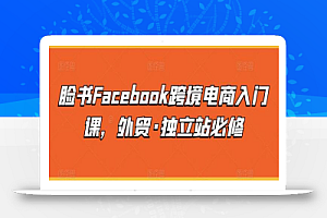 脸书Facebook跨境电商入门课，外贸·独立站必修