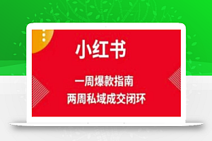 爆款小红书免费流量体系课程(两周变现),小红书电商教程