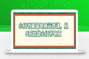 小红书高级电商运营课,从0开始做小红书电商