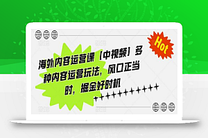 海外内容运营课【中视频】多种内容运营玩法,风口正当时,掘金好时机