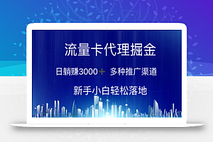 (10952期)流量卡代理掘金 日躺赚3000+ 多种推广渠道 新手小白轻松落地