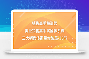 (10939期)销售-高手特训营,美业-销售高手实操体系课,三大销售体系带你破局-38节
