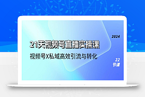 (10966期)21天-视频号直播实操课,视频号X私域高效引流与转化(22节课)