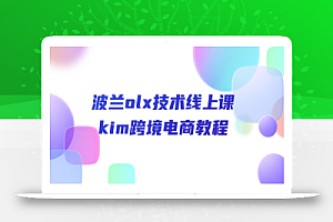 (10967期)波兰olx 技术线上课,kim跨境电商教程