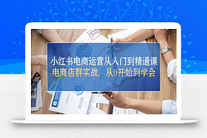 (10937期)小红书电商运营从入门到精通课,电商店群实战,从0开始到学会