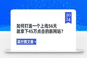 某付费文章《如何打造一个上线56天就拿下45万点击的新网站?》