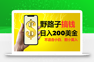 挂机野路子搞钱,日入200美金,路子很野,小白莫入